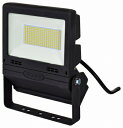 日動工業 フラットライト70W 常設用 LJS-FH70D-BK-25K
