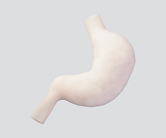 訓練用モデル(ナビトレ) 胃縫合モデル 立体