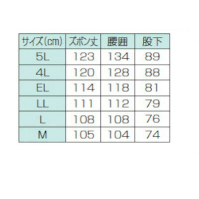 AP2000ゴアテックスレインスーツ オレンジ 4Lサイズ AP2000 OR 4L 4L 前垣