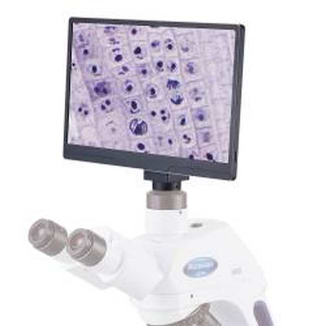 モニタ付 4K顕微鏡カメラ LS4K