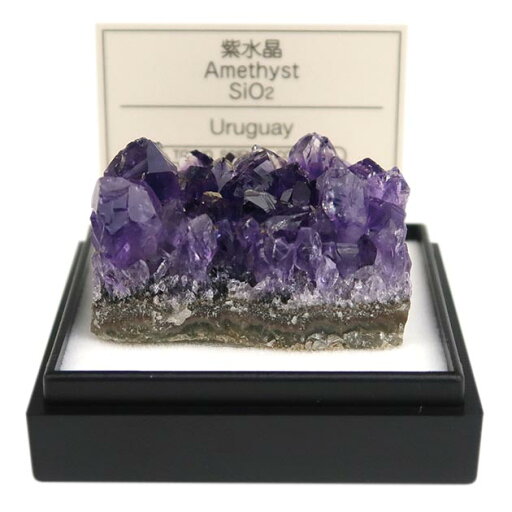 鉱物標本 紫水晶 鉱物標本 紫水晶