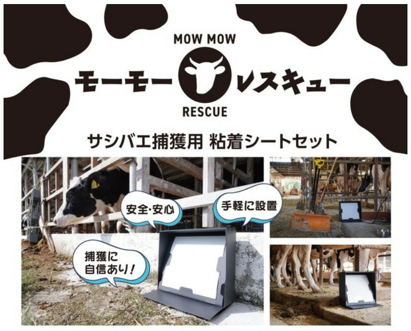 쥤ơ ХǴ奷ȥå ⡼⡼쥹塼 102å