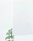 �� ������륭�㥹���� �� 2��300��450 ��ʥ� AC68234