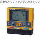 新コスモス電機 マルチ型ガス検知器/充電池セット 対象ガス:O2、イソブタン、H2S、CO XA-4400-2
