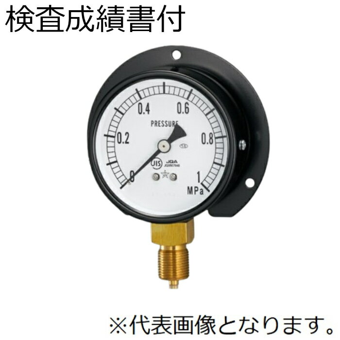 【10/25限定！要エントリー！抽選で最大100％Pバック！】右下精器 一般圧力計 検査成績書付き BT3/8-75X1MPa