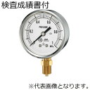 右下精器 グリセリン入り圧力計 検査成績書付き G-AU1/4-60X25MPa(4)