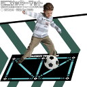 サッカーマット サッカー リビングルームカーペット サッカー スポーツ サッカーマット 室内 屋内練習 プレイエリアラグ 雨の日の練習 滑り止めカーペット 自主練習 コーナーサッカーフィールドグランド用 子供用プレイマット トレーニングマット