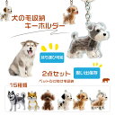 犬の毛 キーホルダー 2個セット ペットメモリアルボトル ペット 犬の毛収納ボトル 遺毛 ケース 透明 ペット 遺毛入れ 犬のキーホルダー 毛を保管するボトル ...