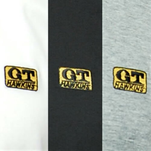 【G.T.HAWKINS】【サーフシャツ】【綿100％】 GTホーキンス メンズ 天竺 サイズM/L...
