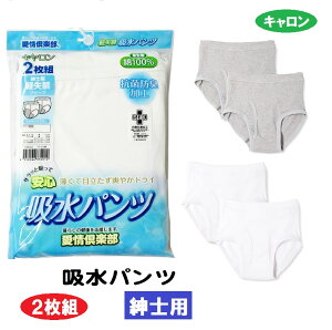 【キャロン】【介護】【2枚組】【紳士】 【吸水パンツ】 DTO45 介護肌着 片倉工業「カタクラキャロン」紳士用軽失禁ブリーフ 吸水パンツ 尿漏れパット付 入院/通院 サイズM/L/LL オグランジャパン メンズ 敬老