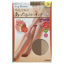 ★50％OFF★旧商品につきお買い得★在庫限り★　SP935 秋冬 グンゼ あったかストッキング3足組 Leg Beauty パンスト　 2個までゆうパケット便可能 3足組 お得 レッグビューティ あったかタイプ