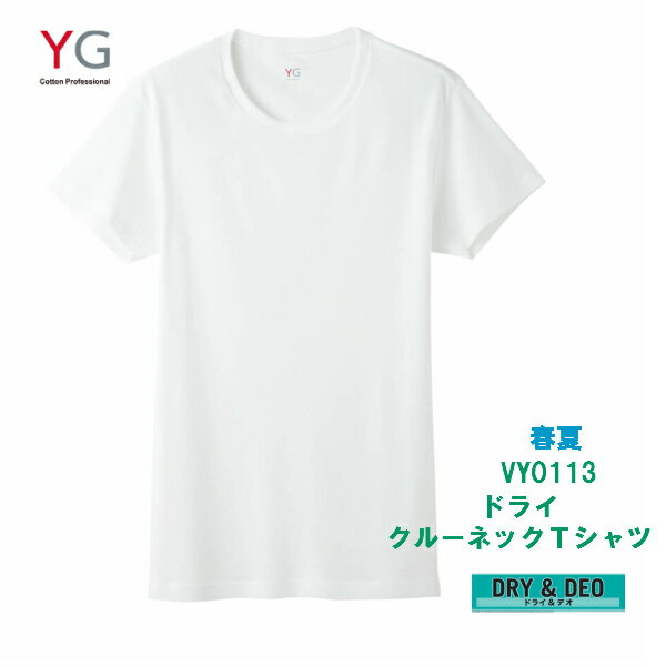 ★在庫限りで終了★ YV0113-1 単品 春夏 DRY クルーネックTシャツ グンゼ YG メンズインナー 吸汗速乾 丸首半袖 サイズ M L カラー 白 ラ..