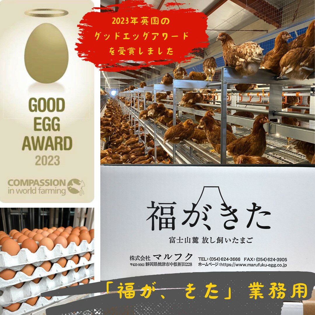 「福が、きた」業務用　2023年グッドエッグアワード受賞　アニマルウェルフェア　エイビアリー　あさぎり宝山ファーム　放し飼いたまご　 静岡県産 富士山麓 富士宮 朝霧高原 冷蔵庫（10℃以下）で保存してください フリーサイズ　10Kg　MS52g～LL76g未満