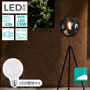 フロアライト LED ガラスシェード ラウンド グレーガラス おしゃれ かわいい 北欧 レトロ モダン モノトーン 間接照明 寝室 リビング 玄関 大人コーデ ...