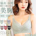 ブラショーツセット 脇高でしっかり補正 谷間 やわらかノンワイヤーブラ 美胸 美背 脇高 大きいサイズ フルレース 総レース 谷間 盛り 盛れる ブラジャー ショーツ ブラショーツ セット ランジェリー インナー 美盛 下着 S-2XL