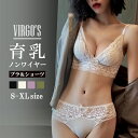 VIRGO'S 薄パッドで超快適!総レース (美胸 美背 脇高 レース フルレース 総レース 谷間 盛れる 補正 ホックなし サイドワイヤーあり ブラジャー ショーツ ブラショーツ ランジェリー インナー レディース セクシー)