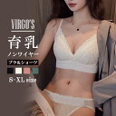 VIRGO'S 薄パッド 脇高でしっかり補正&谷間! 総レース ノンワイヤーブラ (美胸 美背 脇高 レース フルレース 総レース 谷間 盛れる 補正 ブラジャー ショーツ ブラショーツ ランジェリー インナー レディース セクシー)