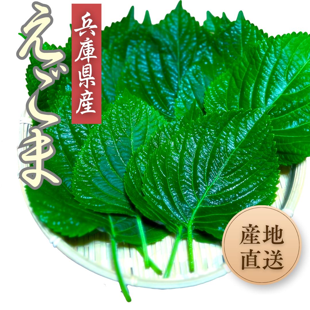 ◆産地直送!兵庫県産エゴマの葉 【2000枚】◆!大量!■韓国食材 韓国野菜 えごまの葉 ケッニプ 江胡麻の葉