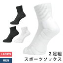 スポーツソックス メンズ レディース 2足組 抗菌防臭 サポート設計 VAXPOT(バックスポット) VA-6030 2足セット スポーツ ソックス スポーツ ...
