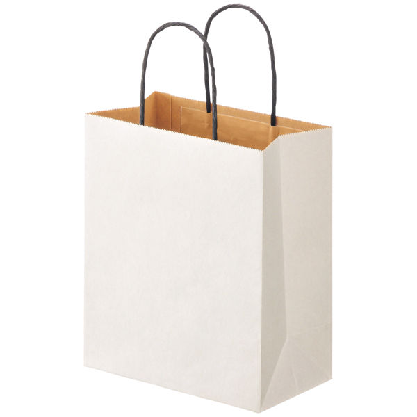 手提げ紙袋【この商品だけの購入不可・宅急便発送のみ購入可】