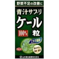 【エントリーP5倍】山本漢方製薬 ケール粒 100% 280粒