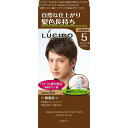 マンダム LUCIDO ワンプッシュケアカラー ナチュラルブラウン 1剤50g・2剤50g 男性染毛剤・白髪用