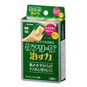 ニチバン ケアリーヴ 治す力 CN12枚