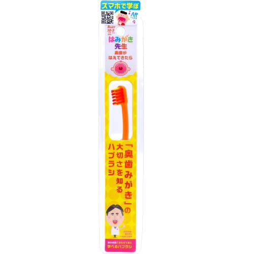 商品説明年齢目安　18ヶ月?3歳。奥歯がはえてきたら。弱い力でも歯をキャッチする凹型カット。奥歯のミゾがみがきやすい。広告文責株式会社ウェルパーク　電話番号：042-659-3716　