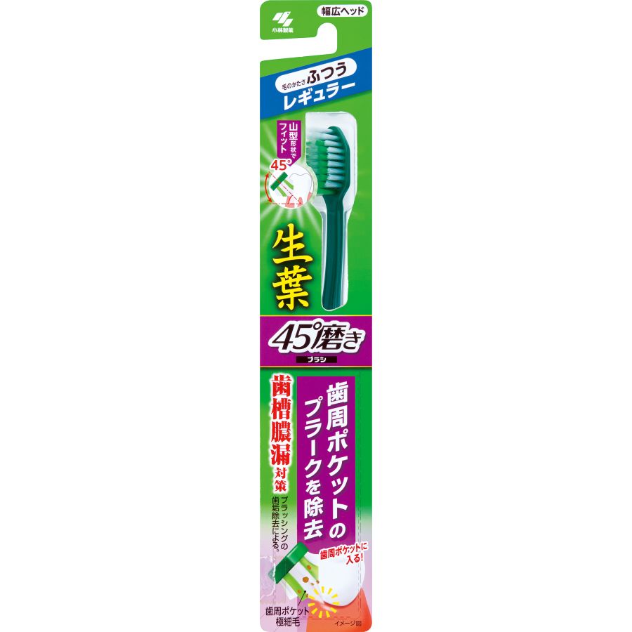 小林製薬　生葉45°磨きブラシレギュラーふつう　歯ブラシ