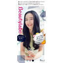 ホーユー ビューティラボ ホイップヘアカラー グレイッシュネイビー 40ml+80ml