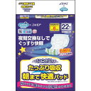 ウエルシア　いちばん　たっぷり吸収　朝まで快適パッド22枚