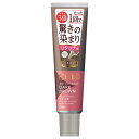 ホーユー シエロ カラートリートメント リタッチ用 ダークブラウン 140g