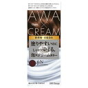 ホーユー ビゲン泡クリーム 6N