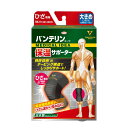 【エントリーP5倍】【あす楽】興和 バンテリンサポーター保温タイプ ひざ専用 大きめサイズ(4)