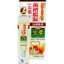 【第3類医薬品】生葉口内塗薬 20g(4)