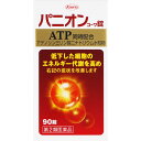 【第2類医薬品】パニオンコーワ錠　90錠