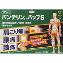 【エントリーP5倍】【あす楽】 ◆【第2類医薬品】バンテリンコーワパップS 12枚【セルフメディケーション税制対象商品】