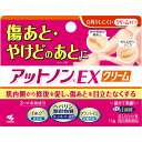 3個セット 【送料無料】 【あす楽】 【第2類医薬品】アットノンcEX クリーム 15g