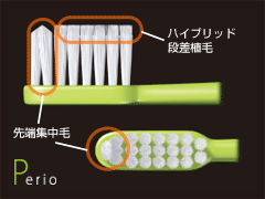 メール便【送料無料】【色指定可】ルシェロ歯ブラシ P-10 M 1本