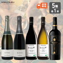 白鶴 ワインバイヤー厳選!おすすめ5本セット 720ml【送料無料】ワイン飲み比べ 飲み比べ ワインセット 高級ワイン プレミアム 赤ワイン 白ワイン スパーク...