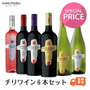 【アウトレット50%OFF】チリワイン 飲み比べ6本セット A 750ml【 送料無料 】飲み比べ リーズナブル まとめ買い お得 チリ 赤 白 ロゼ 家飲み ...