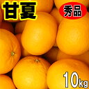 愛媛 甘夏 秀品 ギフト 贈答用 10kg 送料無料 Mサイズ Lサイズ 2Lサイズ 3月下旬から発送