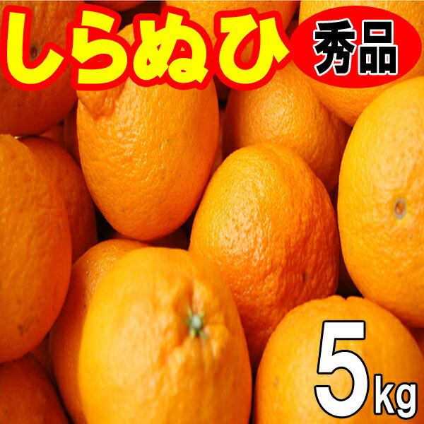 愛媛 　しらぬひ　秀品贈答用　5kg　愛媛西宇和産　送料無料　2月中旬から発送