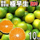 愛媛みかん 西宇和産 極早生 訳あり 10kg 送料無料