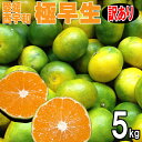 愛媛みかん 西宇和産 極早生 訳あり 5kg 送料無料