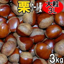 クール便 愛媛の栗 生栗 秀品 3Lサイズ 3kg 送料無料
