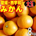 【11月中旬から発送】愛媛みかん 大玉みかん 8kg 愛媛 西宇和 送料無料 3Lまたは2Lサイズ 送料無料