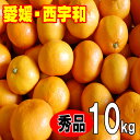 【11月中旬から発送】愛媛みかん 秀品 お歳暮 ギフト 贈答 愛媛 西宇和 八幡浜 10kg 送料無料 Sサイズ Mサイズ