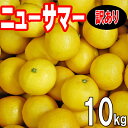 愛媛 　ニューサマー　訳あり　10kg　愛媛西宇和産　送料無