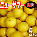 愛媛 　ニューサマー　訳あり　5kg　愛媛西宇和産　送料無料　4月中旬から発送